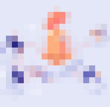 天空体育